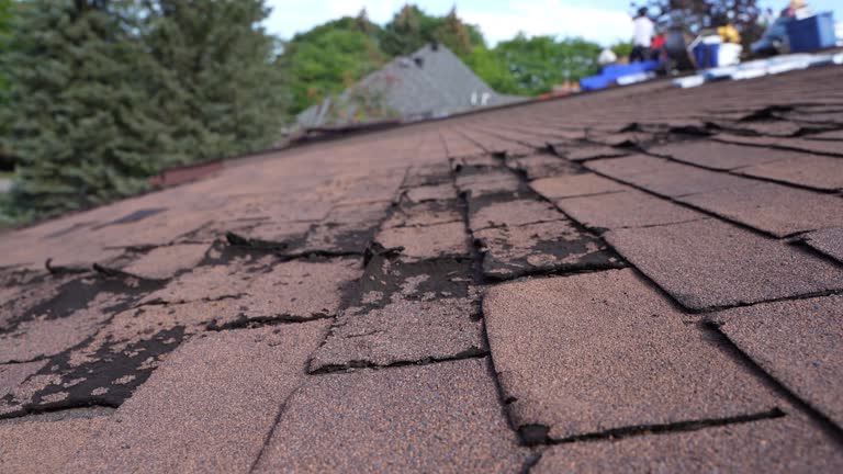 Best Roof Insulation Installation  in Sutter, CA